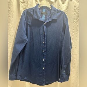 ZARA Blue Button-Up Shirt